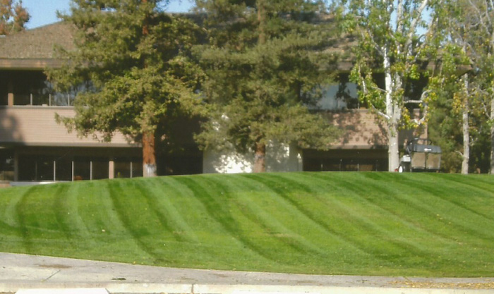 Commercial Lawn Service Bakersfied
